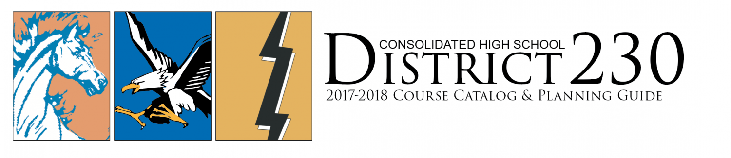 Consolidated High School District 230