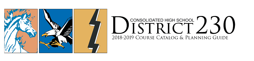 Consolidated High School District 230