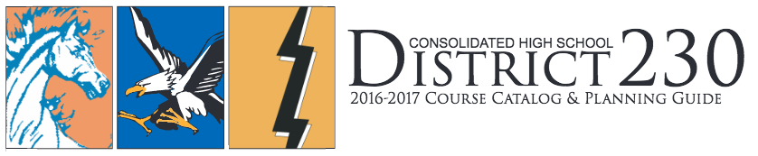 Consolidated High School District 230