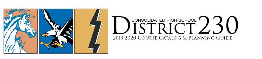 Consolidated High School District 230